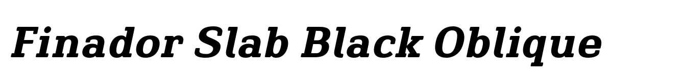 Finador Slab Black Oblique image